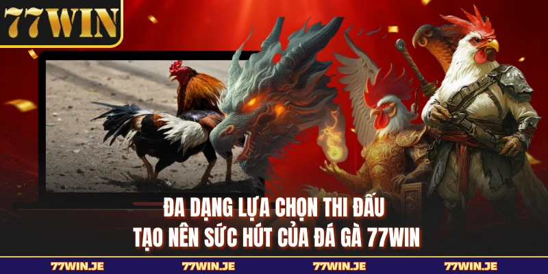 Đa dạng lựa chọn thi đấu tạo nên sức hút của đá gà 77WIN