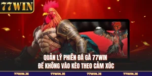 Quản Lý Phiên Đá Gà 77WIN Để Không Vào Kèo Theo Cảm Xúc
